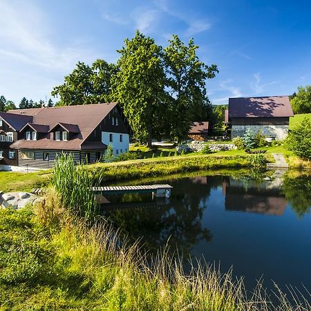 Hotel Chata Pod Lipami à Rokytnice nad Jizerou Extérieur photo