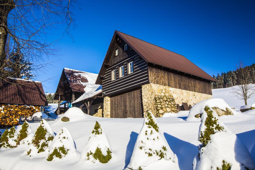 Hotel Chata Pod Lipami à Rokytnice nad Jizerou Extérieur photo